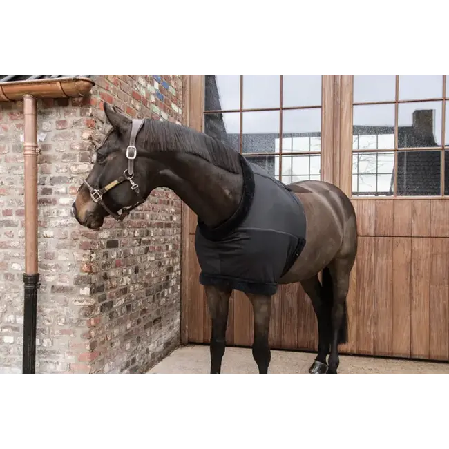 Kentucky Borstbeschermer (Paardensport)