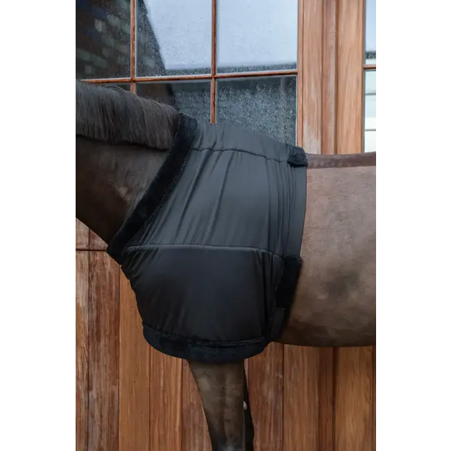 Kentucky Borstbeschermer (Paardensport)