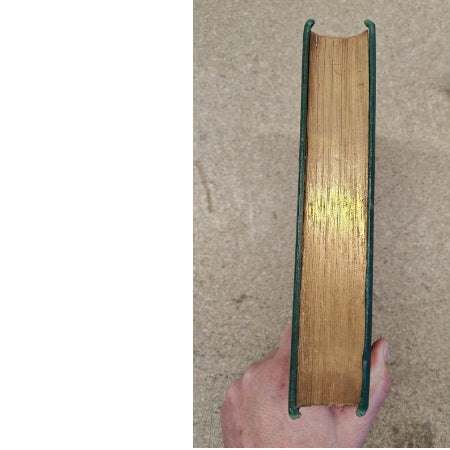 British Wild Flowers boek