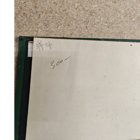 British Wild Flowers boek