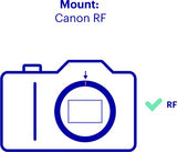 Canon RF 100-500mm F4.5-7.1L IS USM