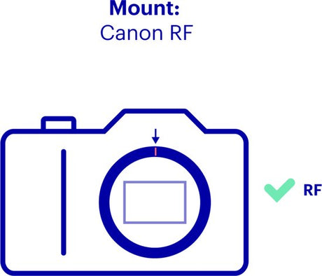 Canon RF 100-500mm F4.5-7.1L IS USM