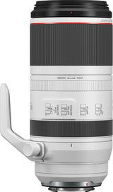 Canon RF 100-500mm F4.5-7.1L IS USM
