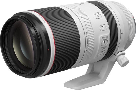 Canon RF 100-500mm F4.5-7.1L IS USM