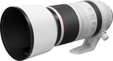 Canon RF 100-500mm F4.5-7.1L IS USM