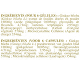 Voeding supplement Ginkgo V