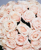 Sophia mae Scented candle - Rosa