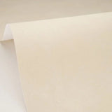 Caselio Chalk behang mat | Fleur De Coton CLK 106081200