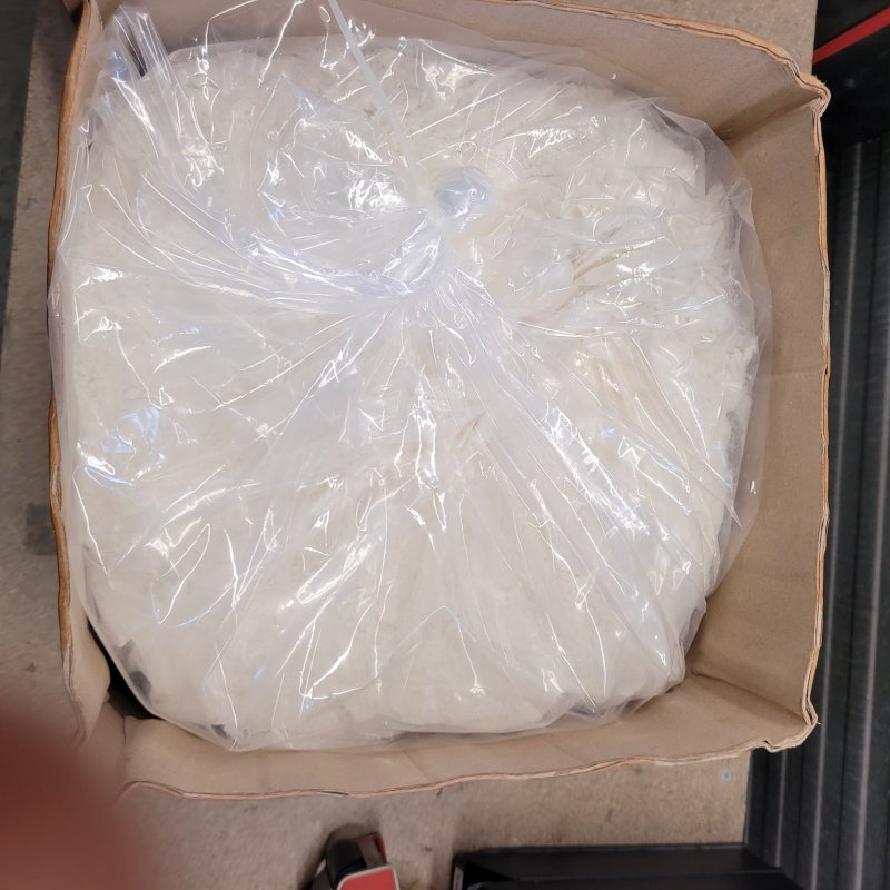 polygonum cuspidatum extract resveratrol poeder 98%