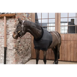 Kentucky Borstbeschermer (Paardensport)