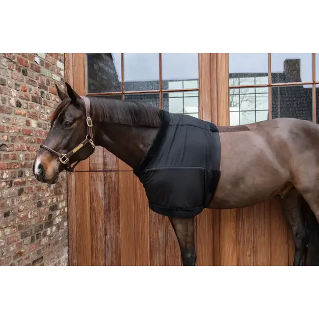 Kentucky Borstbeschermer (Paardensport)