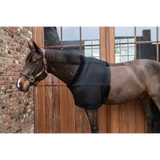 Kentucky Borstbeschermer (Paardensport)