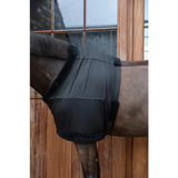 Kentucky Borstbeschermer (Paardensport)