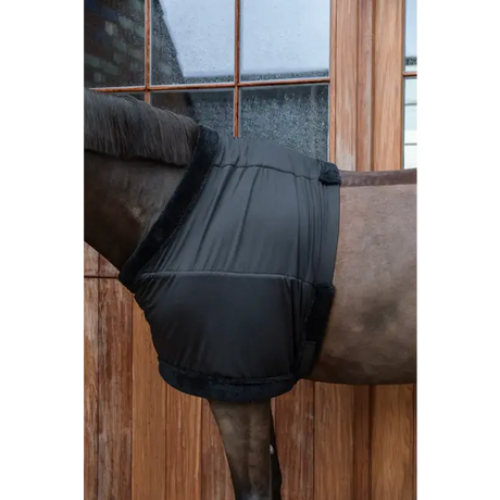 Kentucky Borstbeschermer (Paardensport)