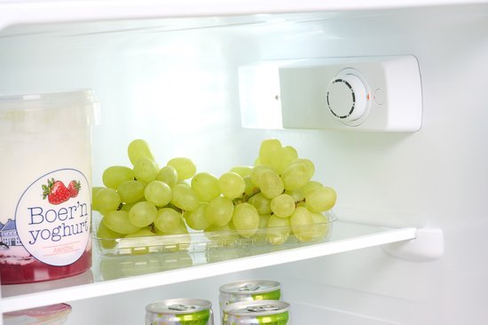 Everglades koelkast EVTD3020 - Zwart - 124 Liter