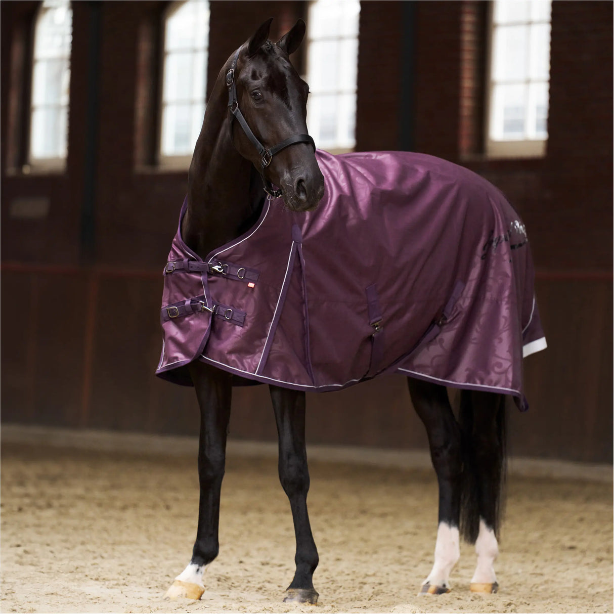 Imperial Riding Outdoor Paardendeken, 200 g vulling, 600D IRH Super-dry