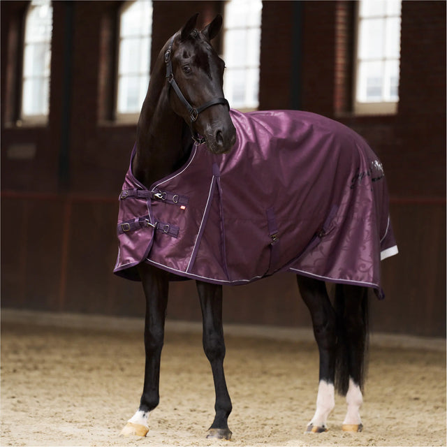 Imperial Riding Outdoor Paardendeken, 200 g vulling, 600D IRH Super-dry