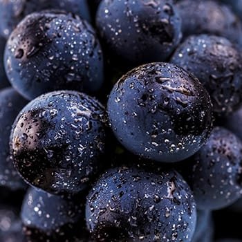 Nutrifill VINALI - voedingssuplementen