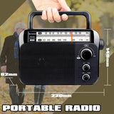 Retekess TR604 draagbare Radio