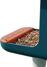 Bird Buddy Smart Bird Feeder | BUNDEL