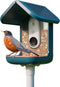 Tuin