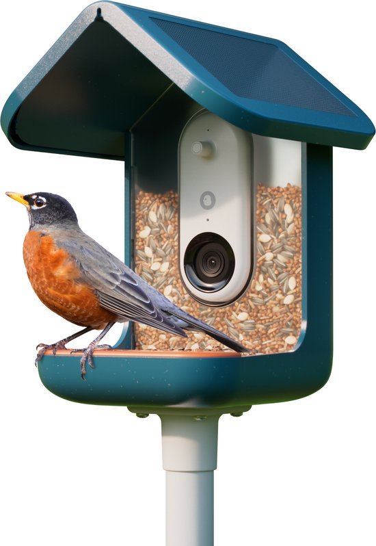 Bird Buddy Smart Bird Feeder | BUNDEL
