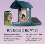 Bird Buddy Smart Bird Feeder | BUNDEL