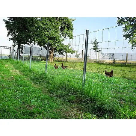 Wildraster / Bosomheining 50 meter – Verzinkt draadgaas 100/08/15 – Geknoopt gaas 