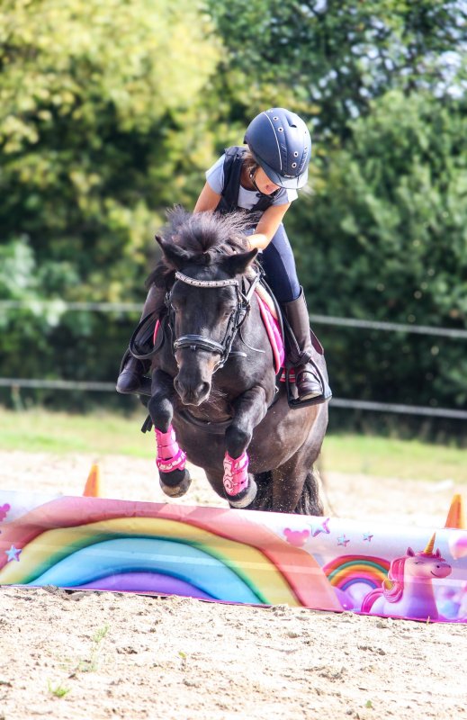 Jumpbanners - Hinderniszeil bixie unicorn dreams