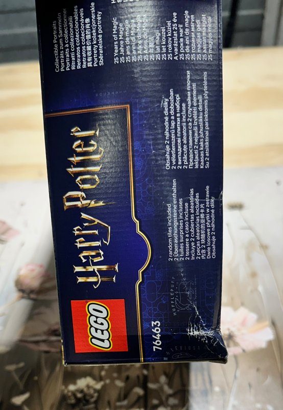 LEGO Harry Potter Kasteel Zweinstein: Ziekenzaal Bouwpakket voor Kinderen met 7 Minifiguren - 76463