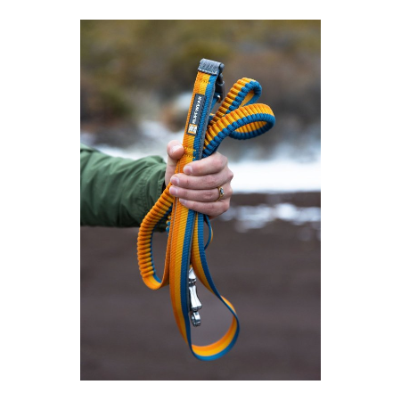 Roamer™ Bungee Joggingriem / honderiem - Yellow Snow, 2,2 - 3,4 m