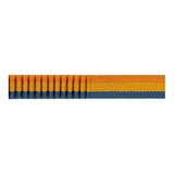 Roamer™ Bungee Joggingriem / honderiem - Yellow Snow, 2,2 - 3,4 m