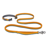Roamer™ Bungee Joggingriem / honderiem - Yellow Snow, 2,2 - 3,4 m