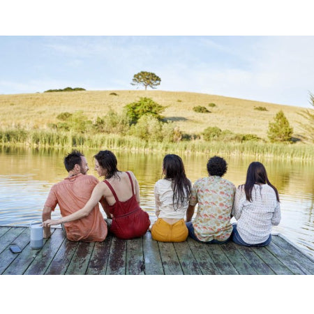 Bose (829393-2300) draagbare Smart Speaker met geïntegreerde Alexa stembesturing, zilver